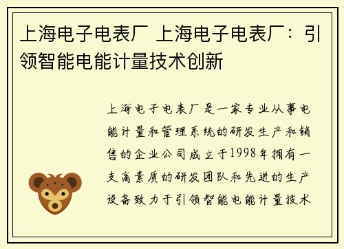 上海电子电表厂 上海电子电表厂：引领智能电能计量技术创新